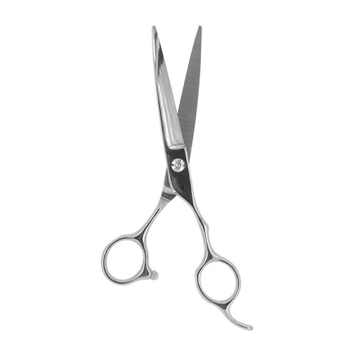 Professional Cutting Scissors 6.0
